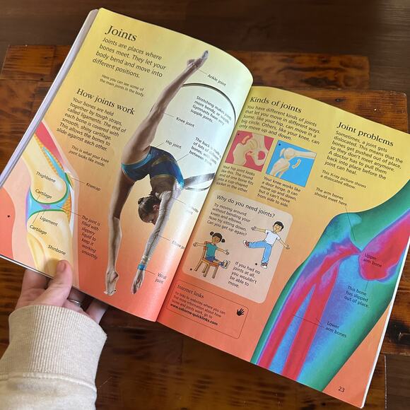 Scholastic Usborne First Encyclopedia Of The Human Body Paperback Book - Picture 5 of 11